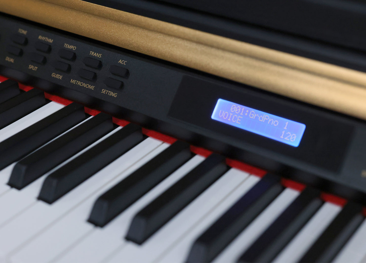 ๐๐๐๐๐๐ - LH-018 Black Matte